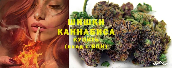 ECSTASY Семикаракорск