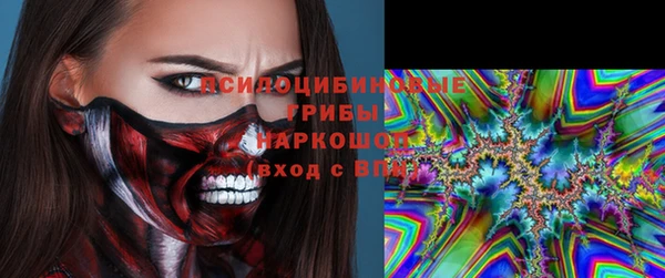 гидра Аркадак