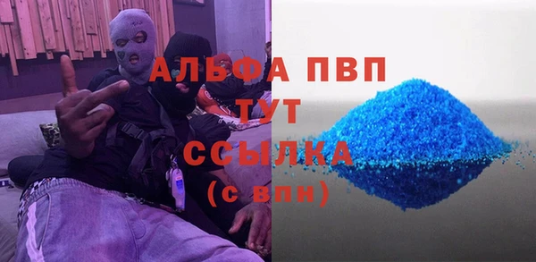 гидра Аркадак